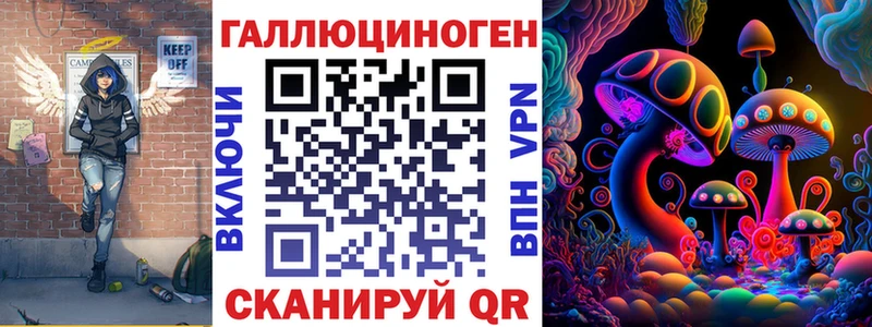 Купить  Шлиссельбург  Псилоцибиновые грибы мицелий 